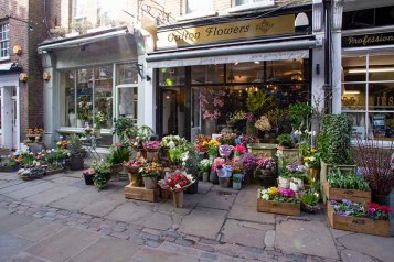 hampstead-flask-walk-flower-shop