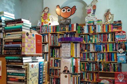 primrose hill bookshop shelves